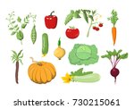 illustrations set of fresh... | Shutterstock . vector #730215061