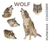 Wolf Clipart Face Free Vectors 664 Downloads Found At Vectorportal