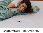 Woman in bedroom terrified by big spider crawling over her bed