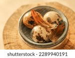 Small photo of Quail eggs.Feathers on quail eggs in a blue cup.Animal protein.Useful healthy food.Organic farm natural quail eggs set in the rays of the sun.