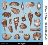 Engraving Vintage Shells Set...