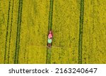 Aerial View Of Rapeseed Yellow...