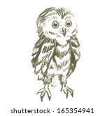 Stock Vector Hand Drawn Owl...