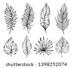 palm tropical leaf set  hand... | Shutterstock .eps vector #1398252074