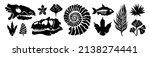 fossil vector. archeologic... | Shutterstock .eps vector #2138274441