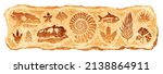 fossil vector. archeologic... | Shutterstock .eps vector #2138864911