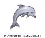 Dolphin Vector. Sketch Drawing...