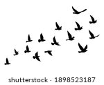 flying birds silhouettes on... | Shutterstock .eps vector #1898523187