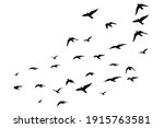 flying birds silhouettes on... | Shutterstock .eps vector #1915763581