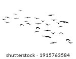 Flying Birds Silhouettes On...