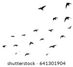 flying birds silhouettes on... | Shutterstock .eps vector #641301904