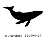 Silhouette Of Humpback Whale....