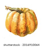 watercolor realistic pumpkin... | Shutterstock . vector #2016910064
