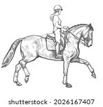 drawing of young horse rider... | Shutterstock .eps vector #2026167407