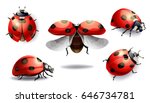 Set Of Red Ladybug Isolated On...