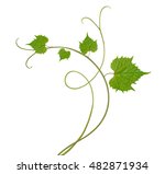 Pattern Of Vine Leaves