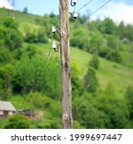 Old Wooden Power Pole On A...