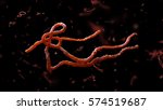 Parasitic Nematode Worms....