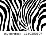 Zebra Stripes Pattern. Zebra...