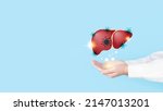 Small photo of World hepatitis day concept. Doctor hands holding liver with viral infection symbol. Awareness of prevention and treatment viral hepatitis that causes liver cancer. Health care and medical.