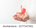 Healthy stomach organ hologram on human hands. Concept of gastric cancer screening, stomach transplant, digestive tract problem and stomach disease treatment.
