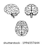 vector illustration of human... | Shutterstock .eps vector #1996557644