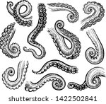 tentacles of octopus  vector... | Shutterstock .eps vector #1422502841