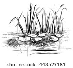 Vector Reeds And Water Lilies....