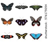 Set Of Nine Butterflies