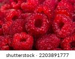 Fresh juicy raspberries close up. Background with red raspberries