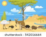 Australia Wild Life Animals...