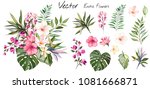 tropical vector flowers. card... | Shutterstock .eps vector #1081666871