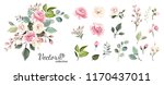 set of floral branch. flower... | Shutterstock .eps vector #1170437011