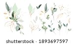 set of herbal branch. green and ... | Shutterstock .eps vector #1893697597