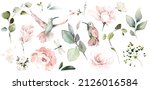 Botanic watercolor set with flowers and birds, leaves eucalyptus. Pink roses 
