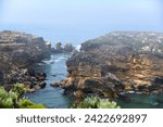 Small photo of South Australia's Southern Most Point on the Limestone Coast for one of the most most spectacular views of South Australia's most southerly point.