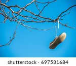 Old Shoe Hanging On The Tree...