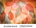 Abstract Autumn Background....