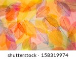 Abstract Autumn Background....