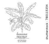 Banana  Tree Vector...