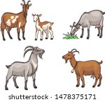 Set Of Different Goats. Vector...