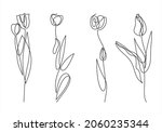 Set Of Tulip Flowers Drawn By...