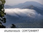 Small photo of panoramic background of high mountain scenery, overlooking the atmosphere of the sea, trees and wind blowing in a cool blur, spontaneous beauty
