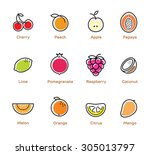 isolated fruits and beries on... | Shutterstock .eps vector #305013797