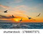 Seagulls In Flight Over Sea At...