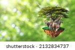 Small photo of nature concept wildlife conservation tiger deer global warming food ecology cubes human hands protect wildlife and wildlife tiger deer trees solar green background
