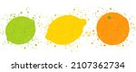 vector illustration of lemon ... | Shutterstock .eps vector #2107362734