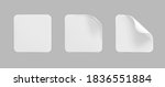 white square glued stickers... | Shutterstock .eps vector #1836551884