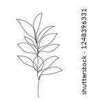 botanical leaves. one line... | Shutterstock .eps vector #1248396331
