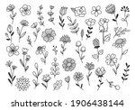 hand drawn flower and branches... | Shutterstock .eps vector #1906438144